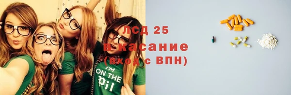 гидра Липки