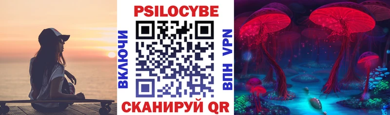Купить  Полевской  Псилоцибиновые грибы прущие грибы 